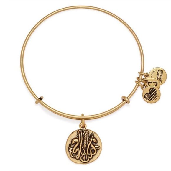 ALEX AND ANI Rulers of the Woods REED Bangle Bracelet - Picture 4 of 7